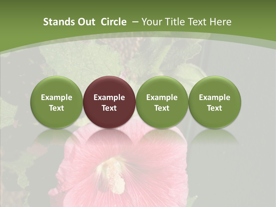 Blooming Rose Stem PowerPoint Template