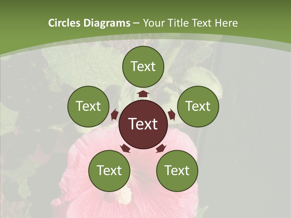 Blooming Rose Stem PowerPoint Template