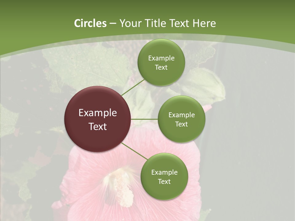 Blooming Rose Stem PowerPoint Template
