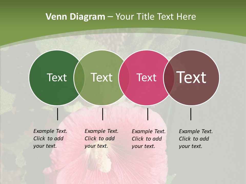 Blooming Rose Stem PowerPoint Template