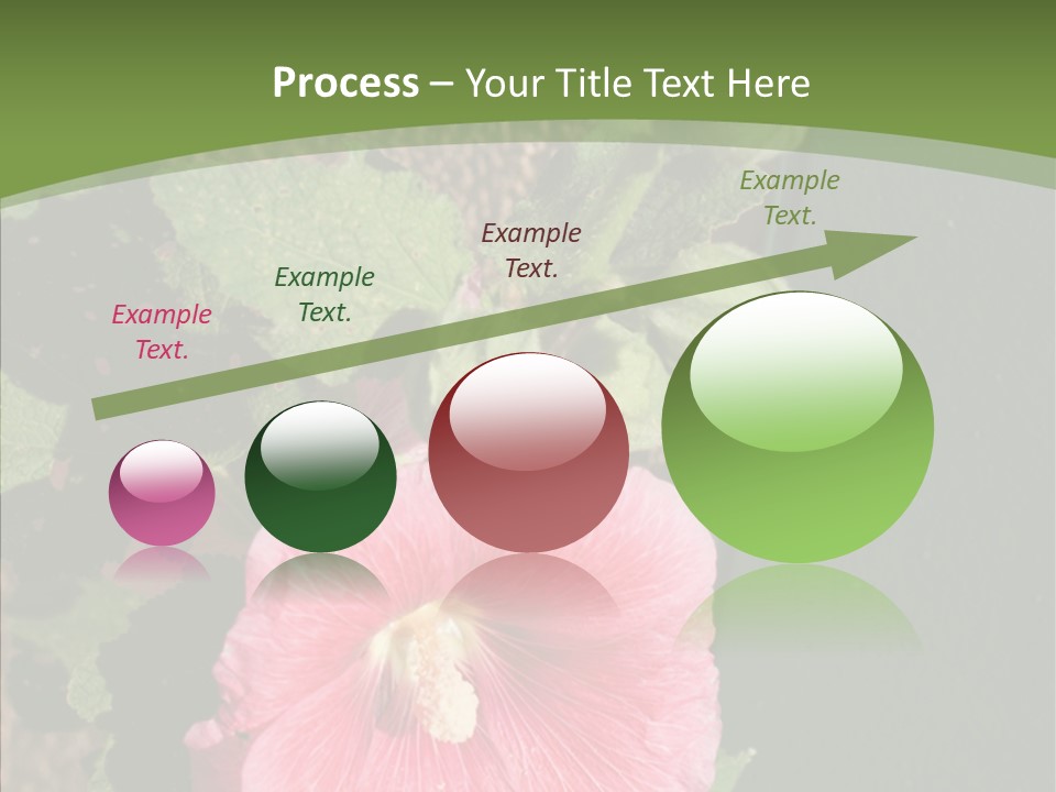 Blooming Rose Stem PowerPoint Template