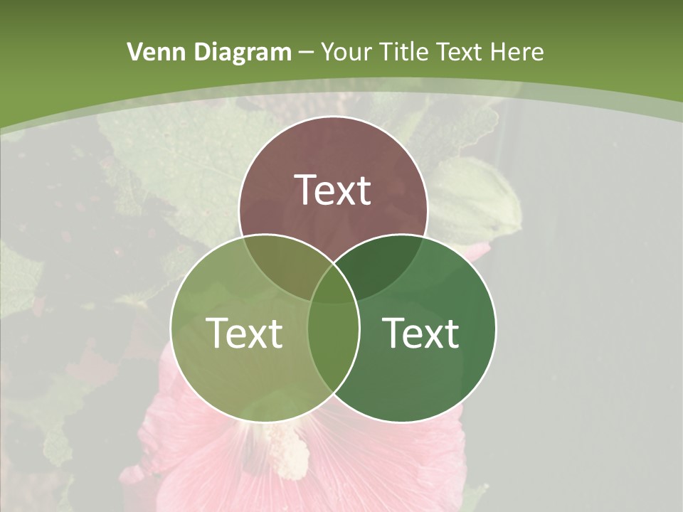 Blooming Rose Stem PowerPoint Template