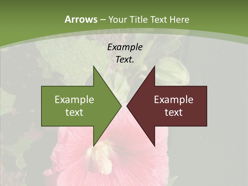 Blooming Rose Stem PowerPoint Template