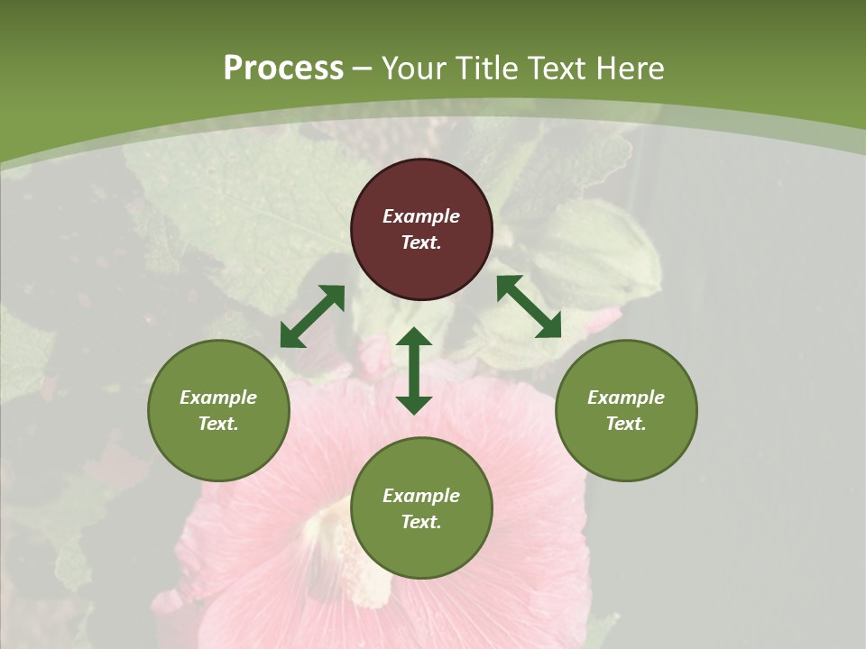 Blooming Rose Stem PowerPoint Template