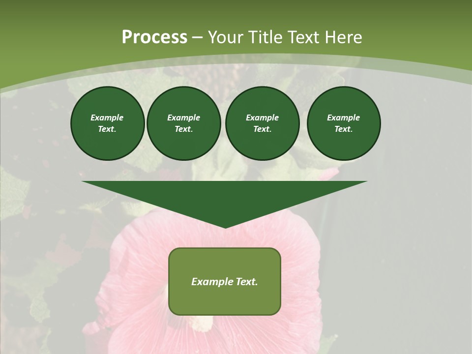 Blooming Rose Stem PowerPoint Template