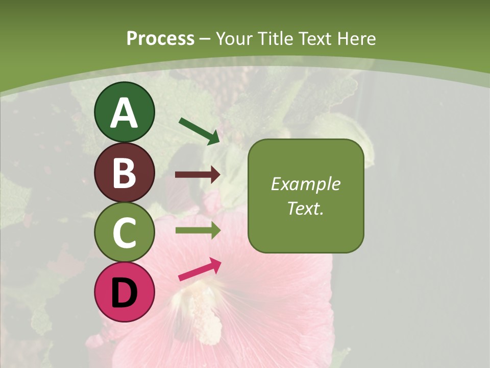 Blooming Rose Stem PowerPoint Template
