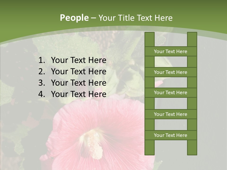 Blooming Rose Stem PowerPoint Template