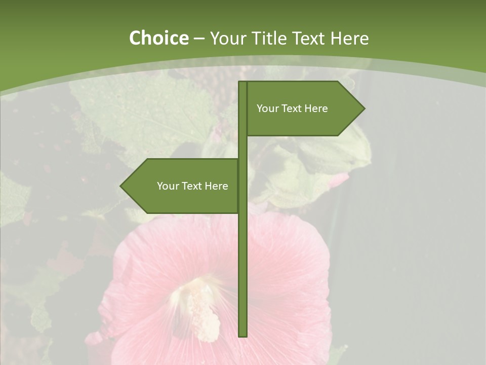 Blooming Rose Stem PowerPoint Template