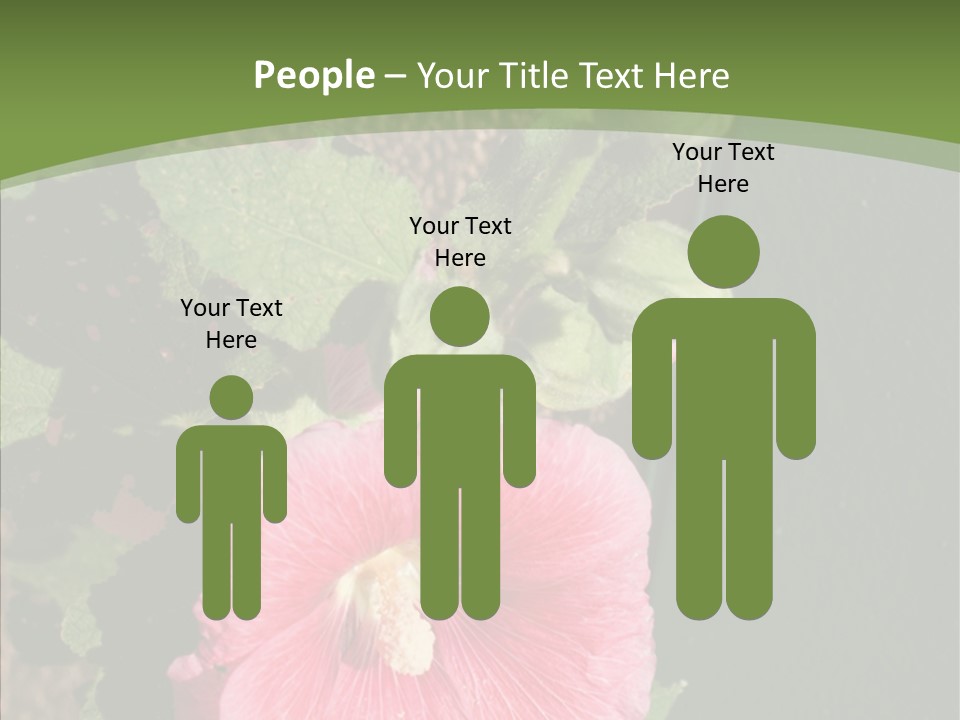 Blooming Rose Stem PowerPoint Template