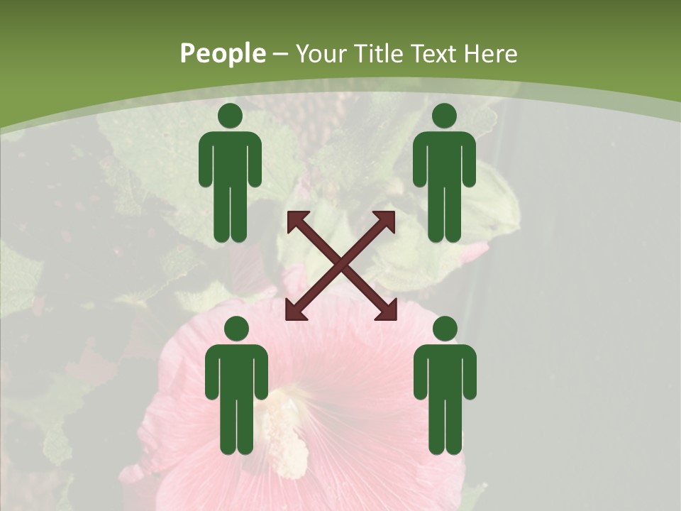 Blooming Rose Stem PowerPoint Template