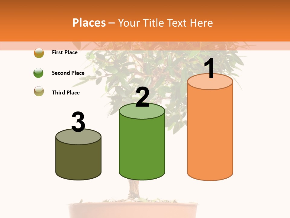 Stem Decorative Small PowerPoint Template