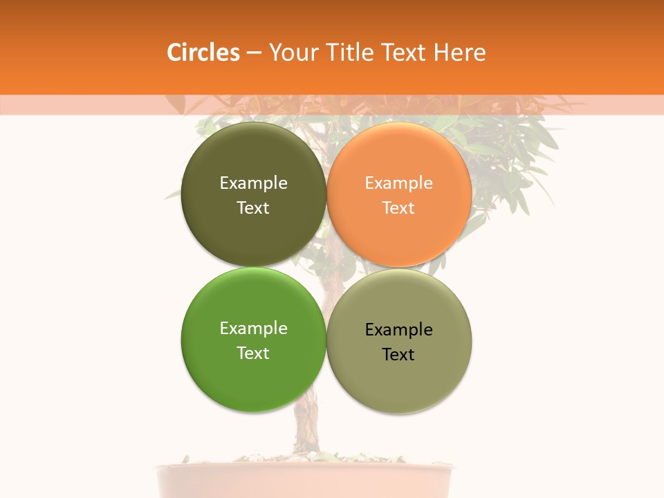 Stem Decorative Small PowerPoint Template