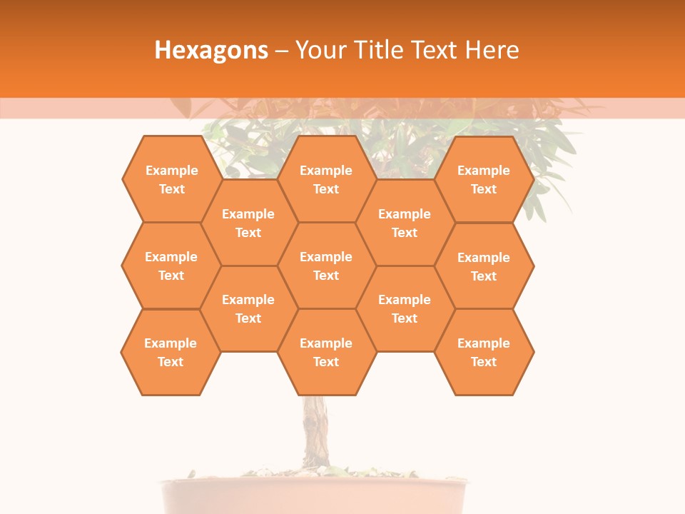 Stem Decorative Small PowerPoint Template