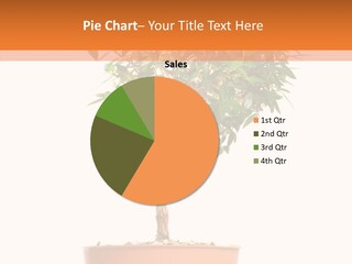 Stem Decorative Small PowerPoint Template