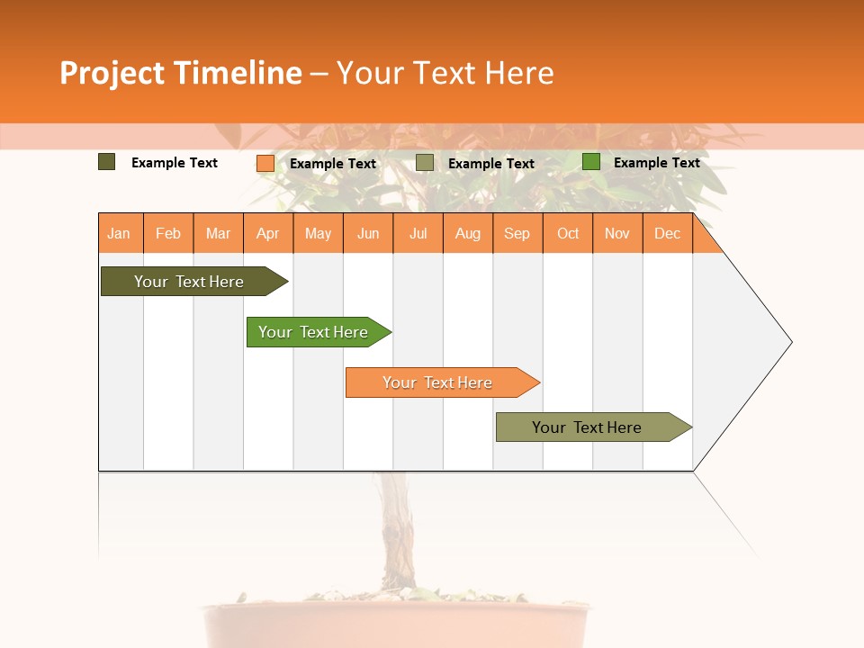 Stem Decorative Small PowerPoint Template