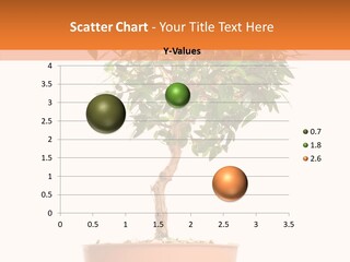 Stem Decorative Small PowerPoint Template