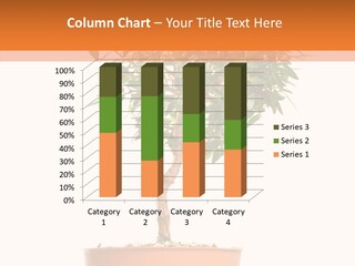 Stem Decorative Small PowerPoint Template