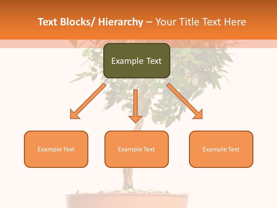 Stem Decorative Small PowerPoint Template