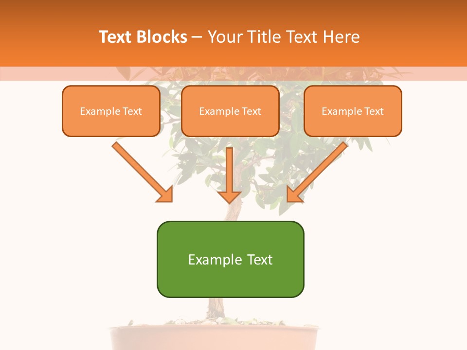 Stem Decorative Small PowerPoint Template