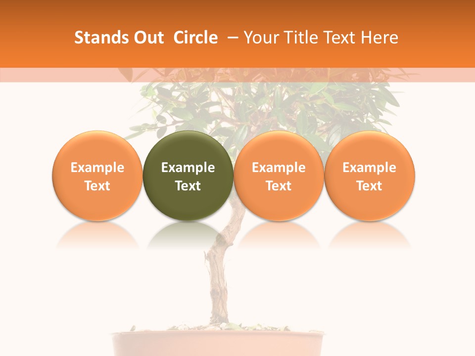 Stem Decorative Small PowerPoint Template