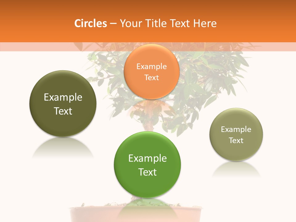 Stem Decorative Small PowerPoint Template