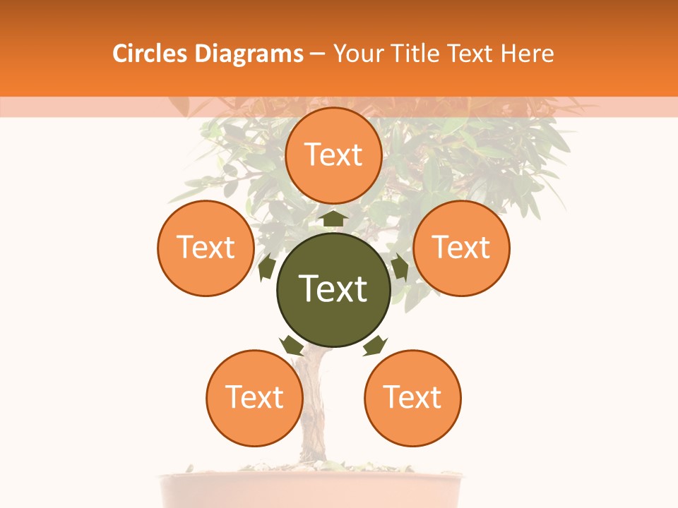 Stem Decorative Small PowerPoint Template