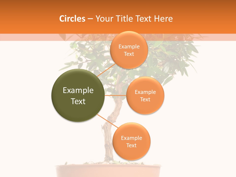 Stem Decorative Small PowerPoint Template