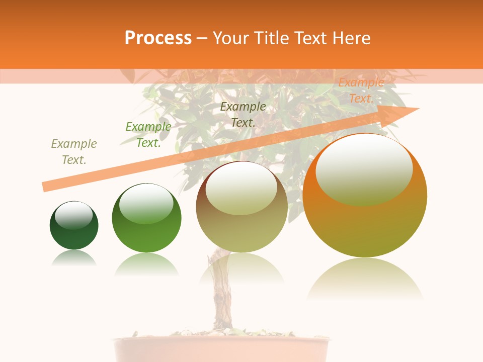 Stem Decorative Small PowerPoint Template