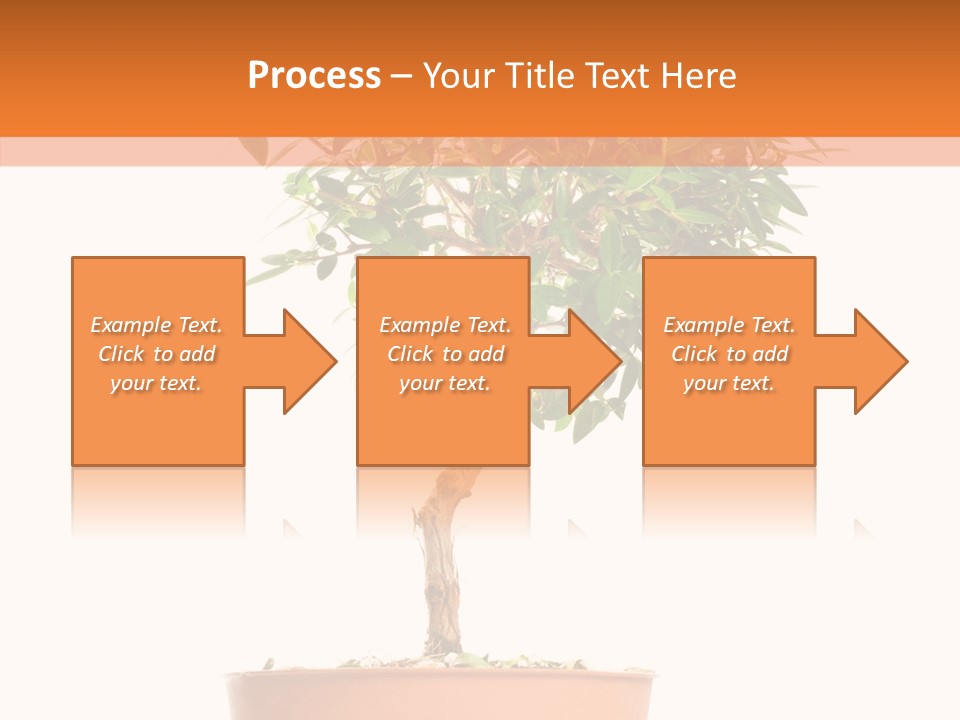 Stem Decorative Small PowerPoint Template