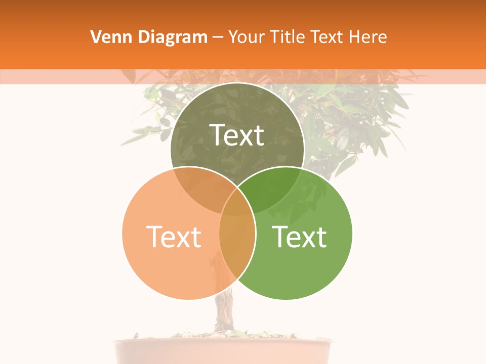 Stem Decorative Small PowerPoint Template