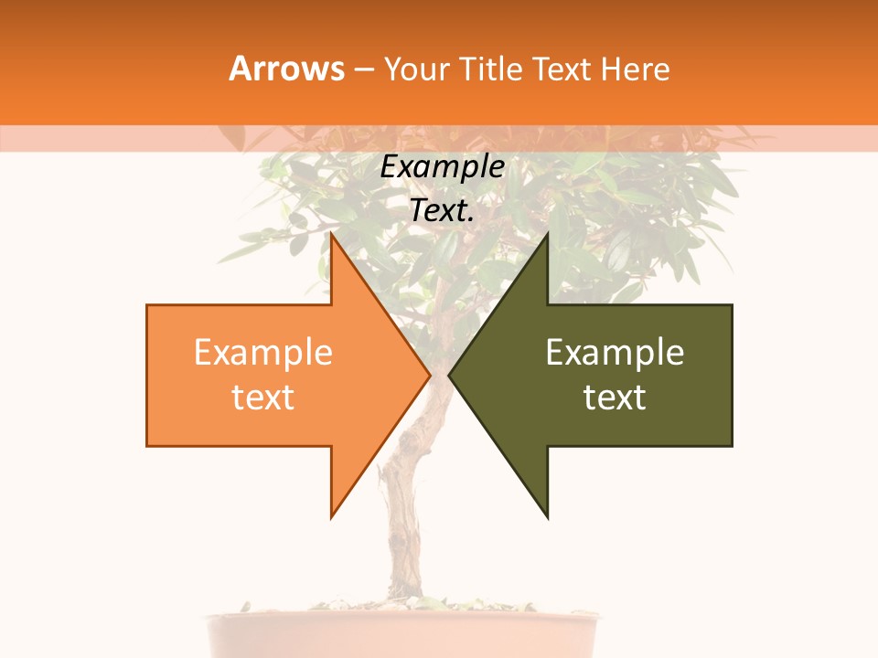 Stem Decorative Small PowerPoint Template