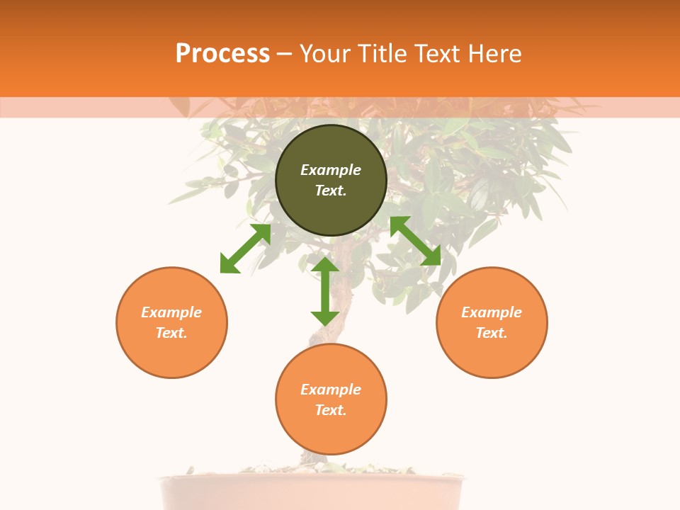 Stem Decorative Small PowerPoint Template