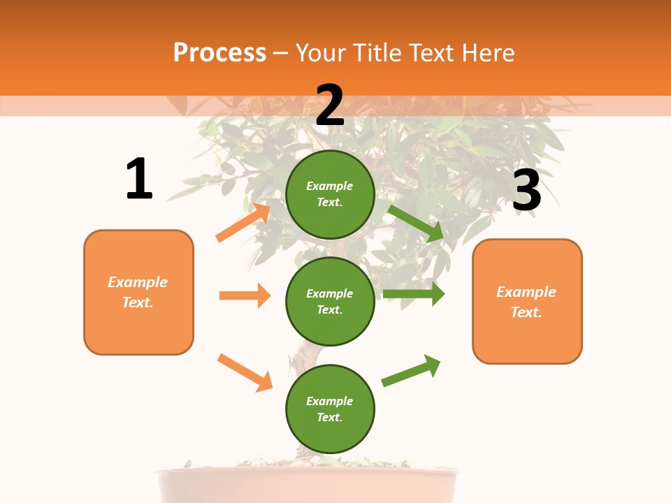 Stem Decorative Small PowerPoint Template