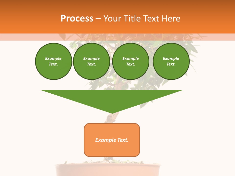 Stem Decorative Small PowerPoint Template