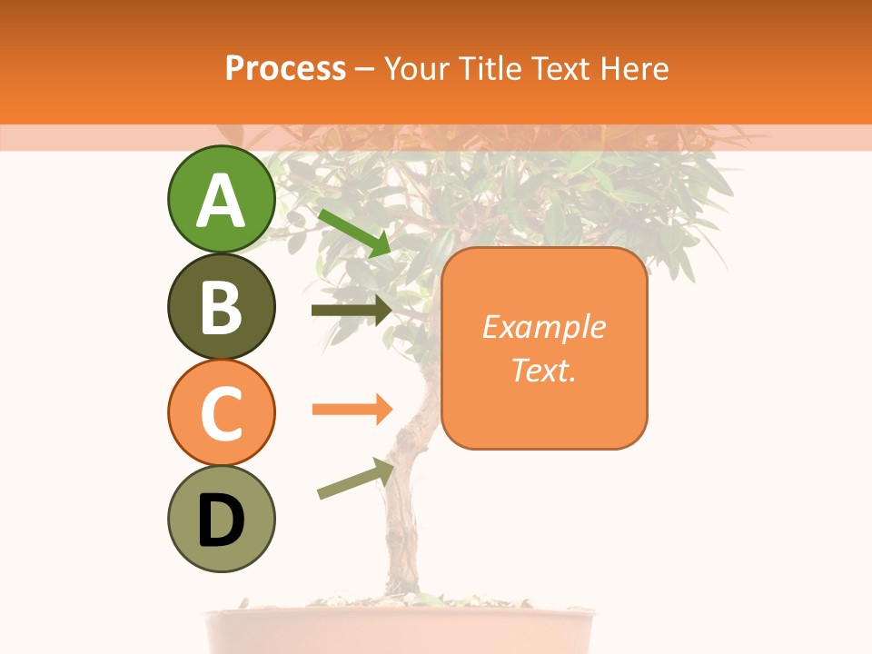 Stem Decorative Small PowerPoint Template