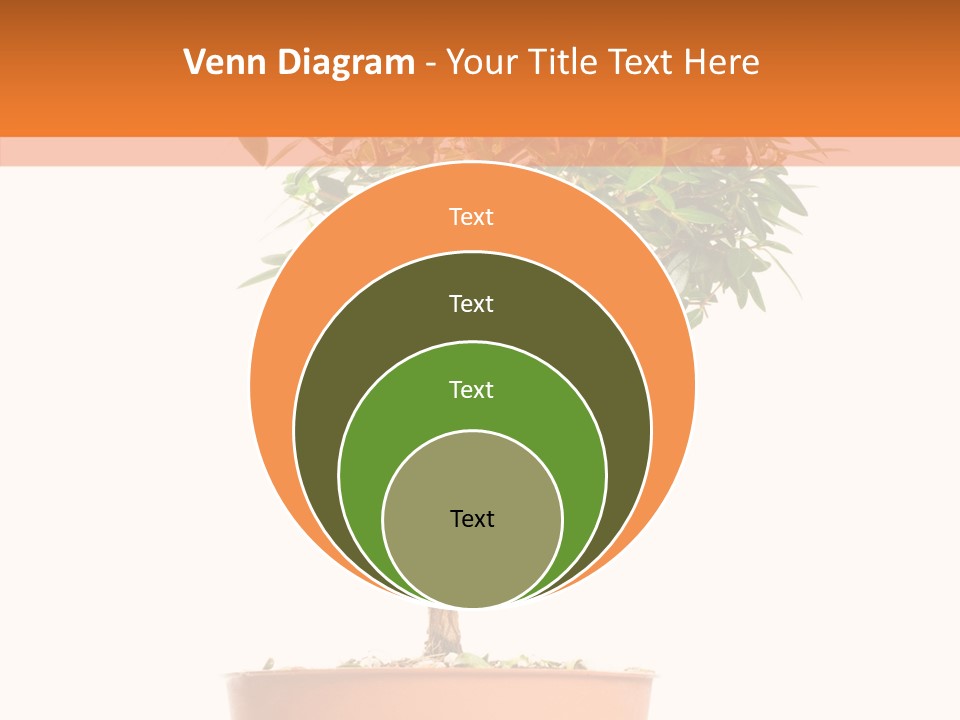 Stem Decorative Small PowerPoint Template