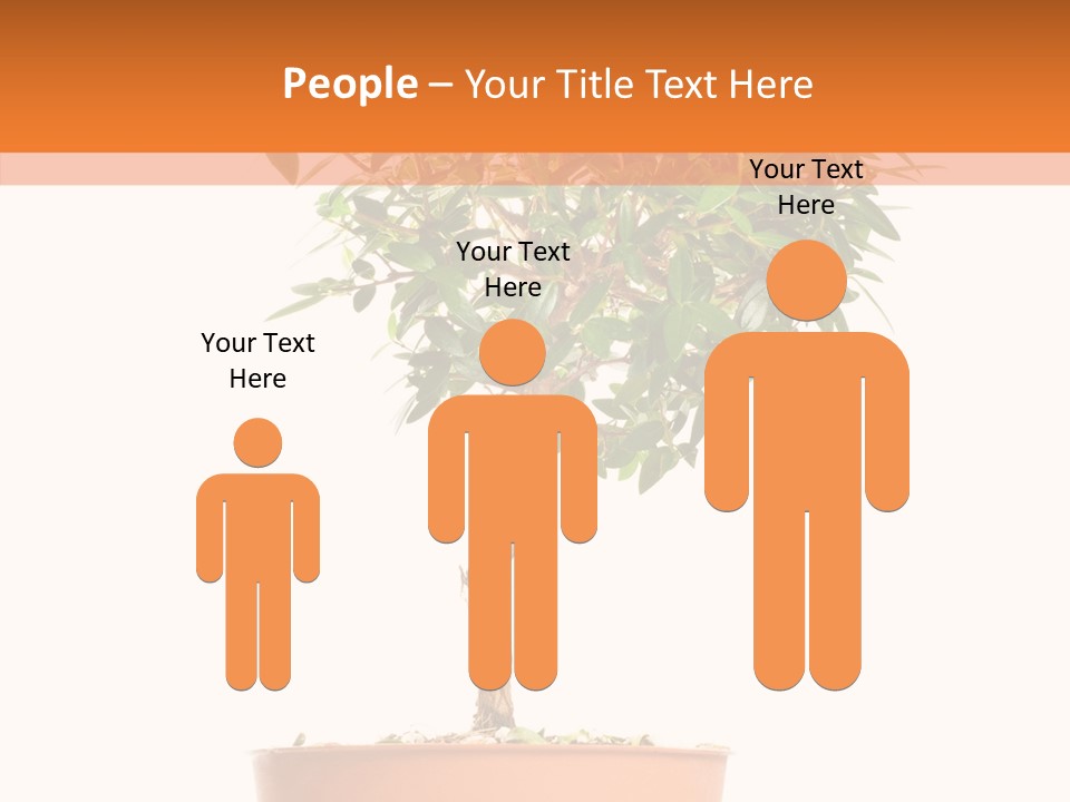 Stem Decorative Small PowerPoint Template