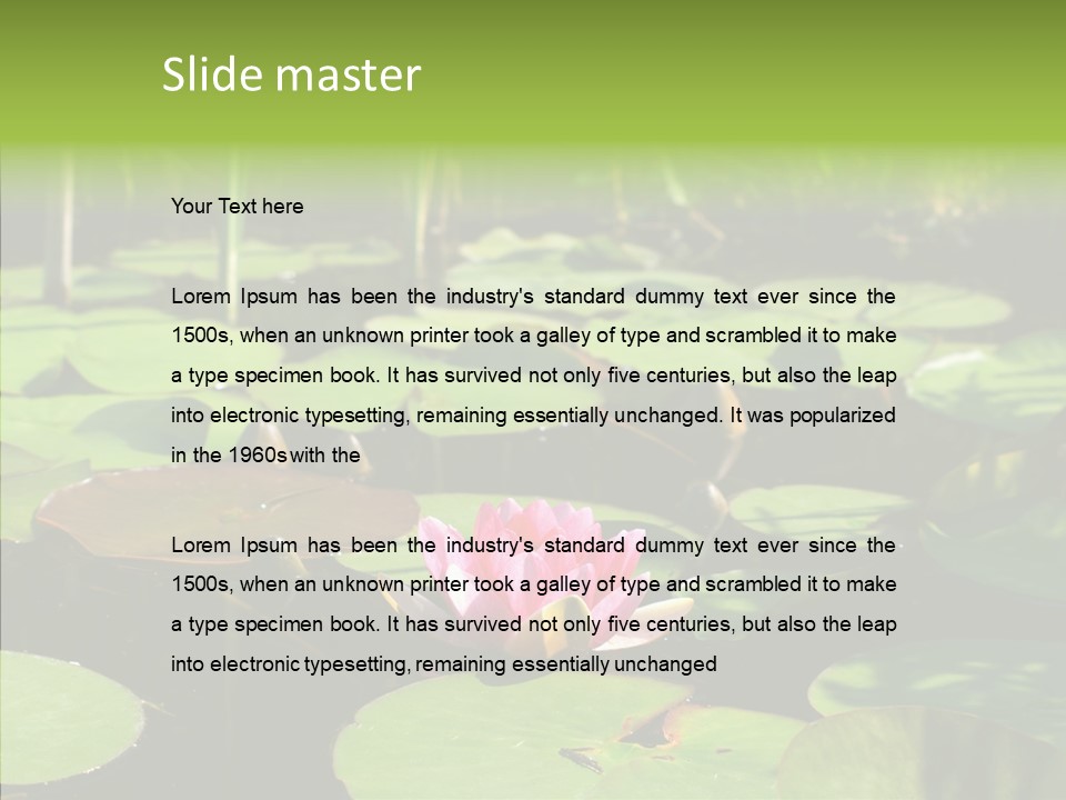 Blossom Floating Lilies PowerPoint Template