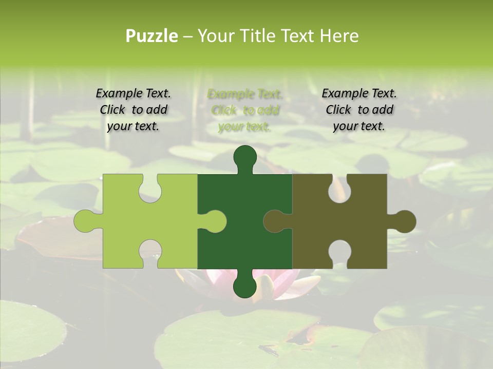 Blossom Floating Lilies PowerPoint Template