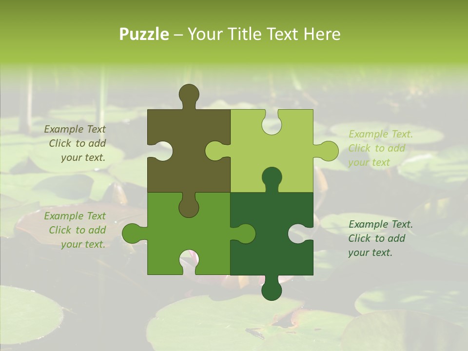 Blossom Floating Lilies PowerPoint Template