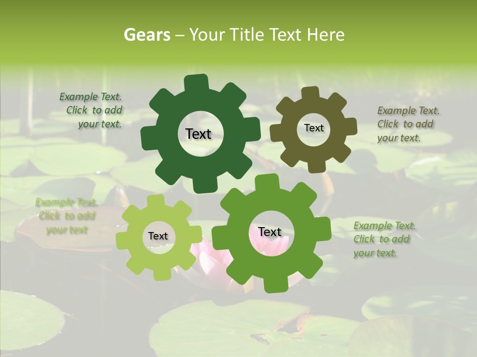 Blossom Floating Lilies PowerPoint Template