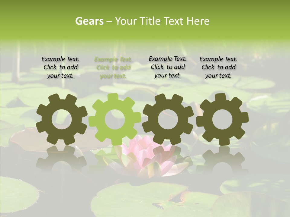 Blossom Floating Lilies PowerPoint Template