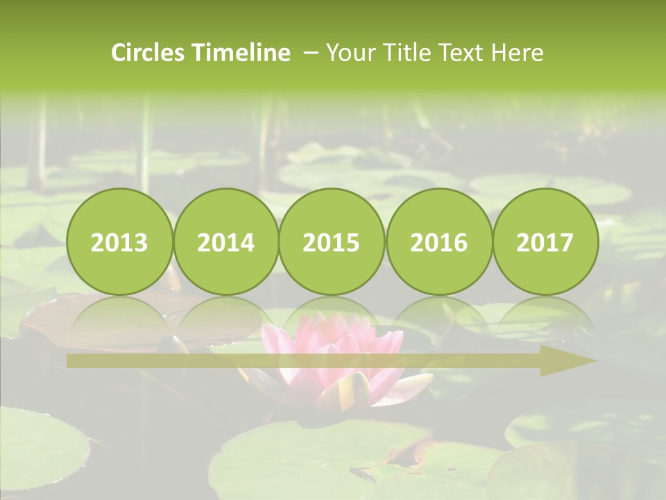 Blossom Floating Lilies PowerPoint Template