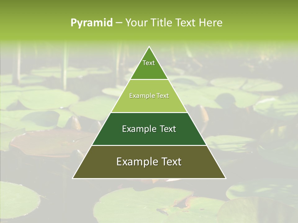 Blossom Floating Lilies PowerPoint Template