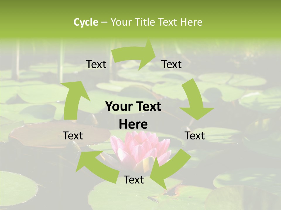 Blossom Floating Lilies PowerPoint Template