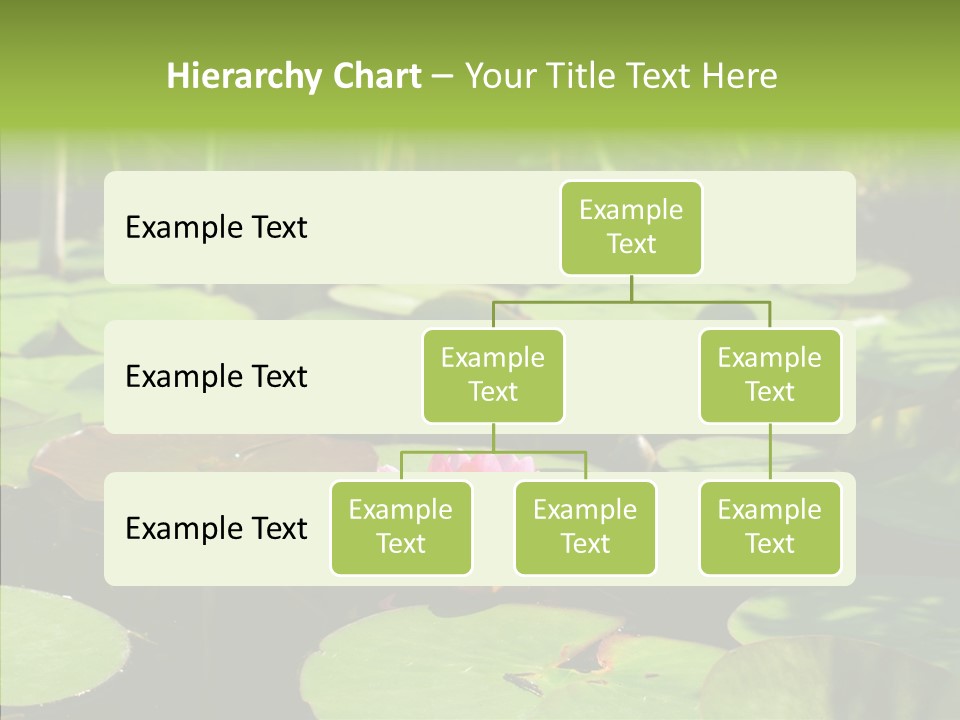 Blossom Floating Lilies PowerPoint Template
