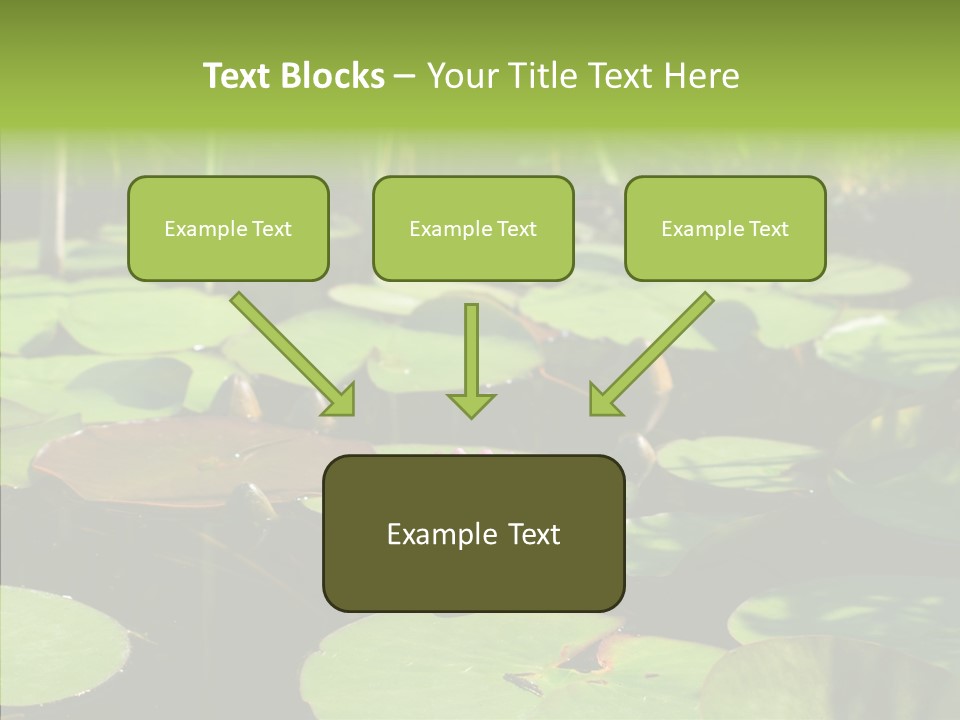 Blossom Floating Lilies PowerPoint Template