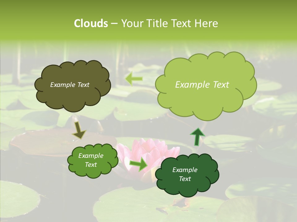 Blossom Floating Lilies PowerPoint Template