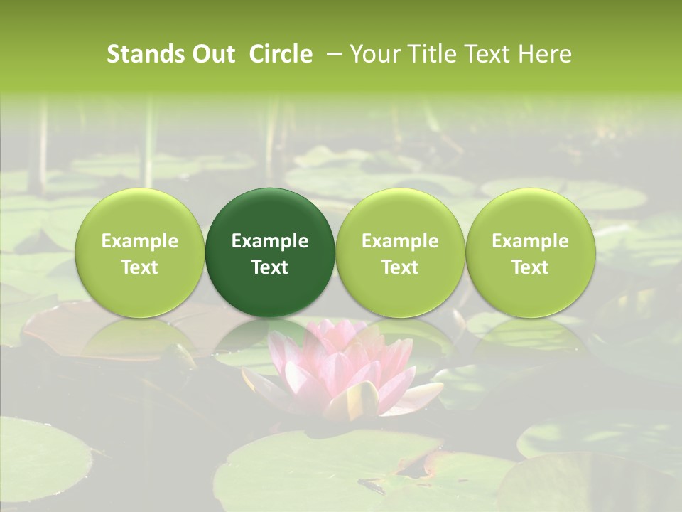 Blossom Floating Lilies PowerPoint Template