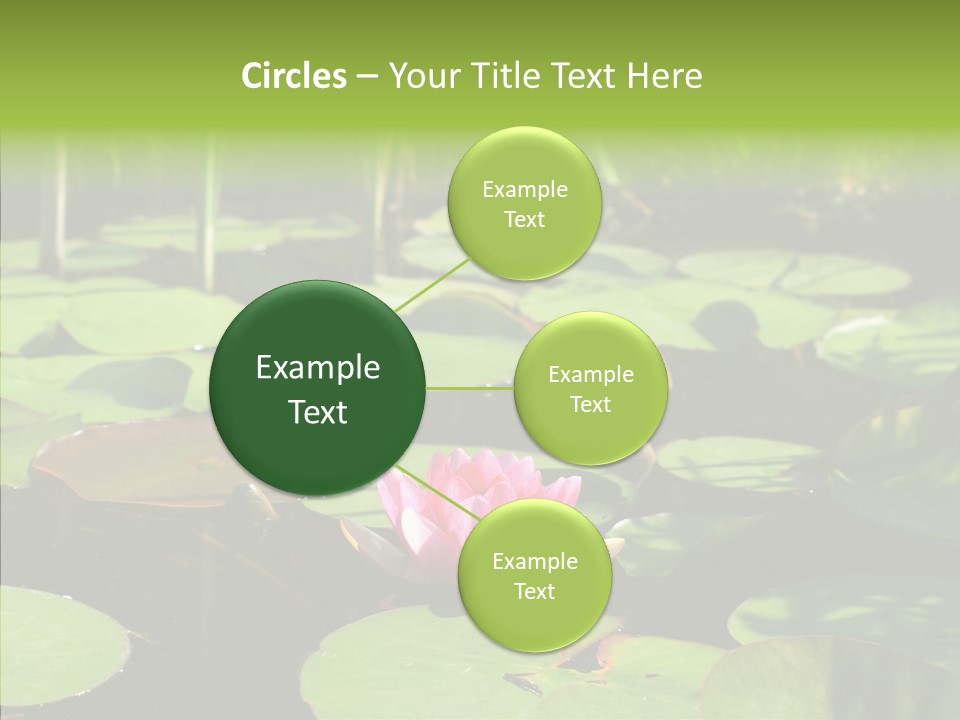 Blossom Floating Lilies PowerPoint Template